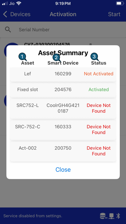 Asset Summary