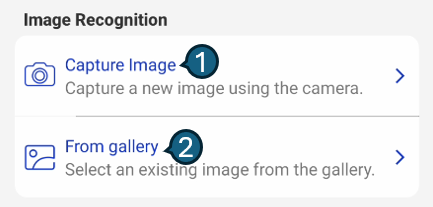 Image Recognition
